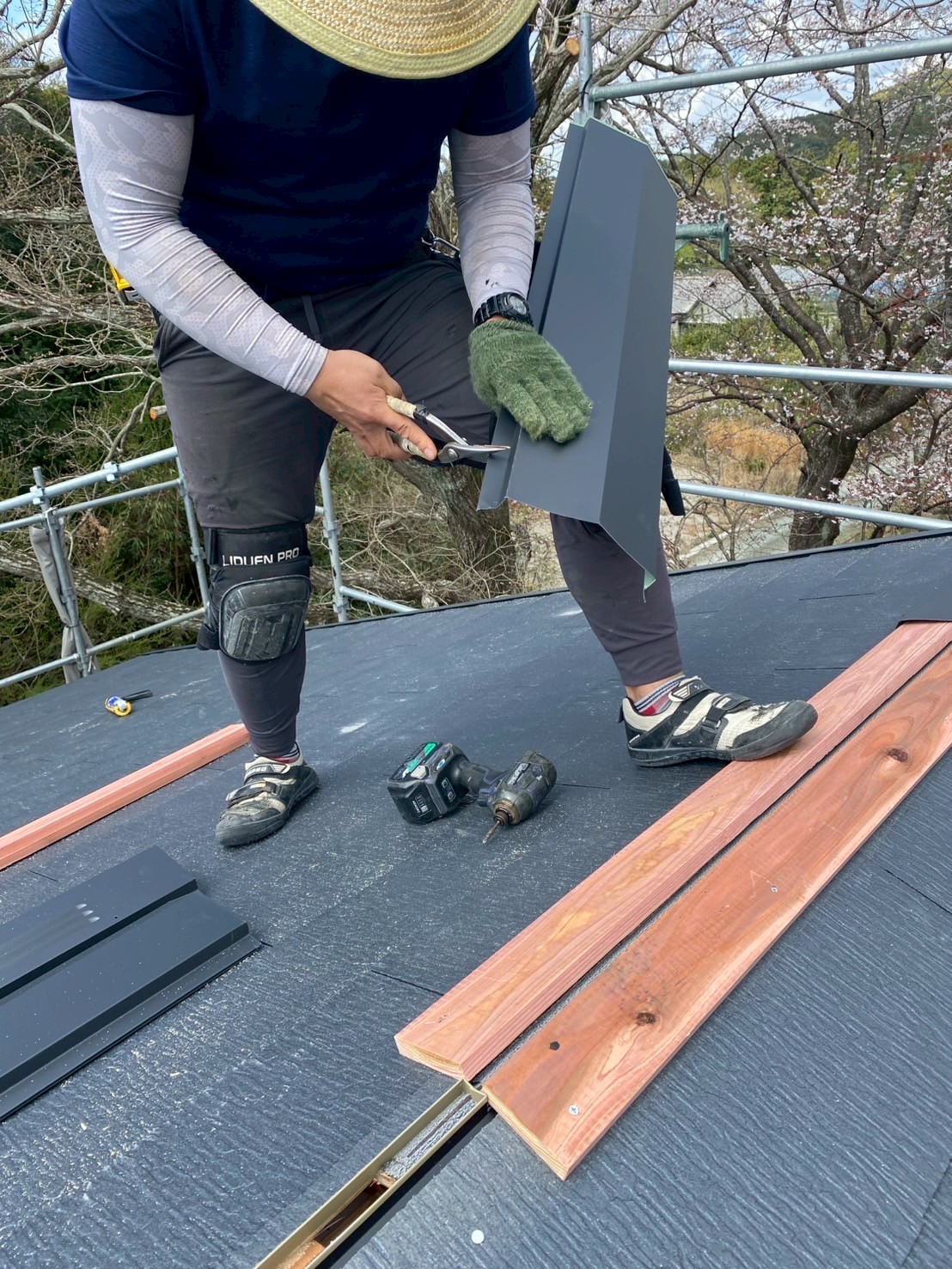 LINE_ALBUM_施行写真_250402_17